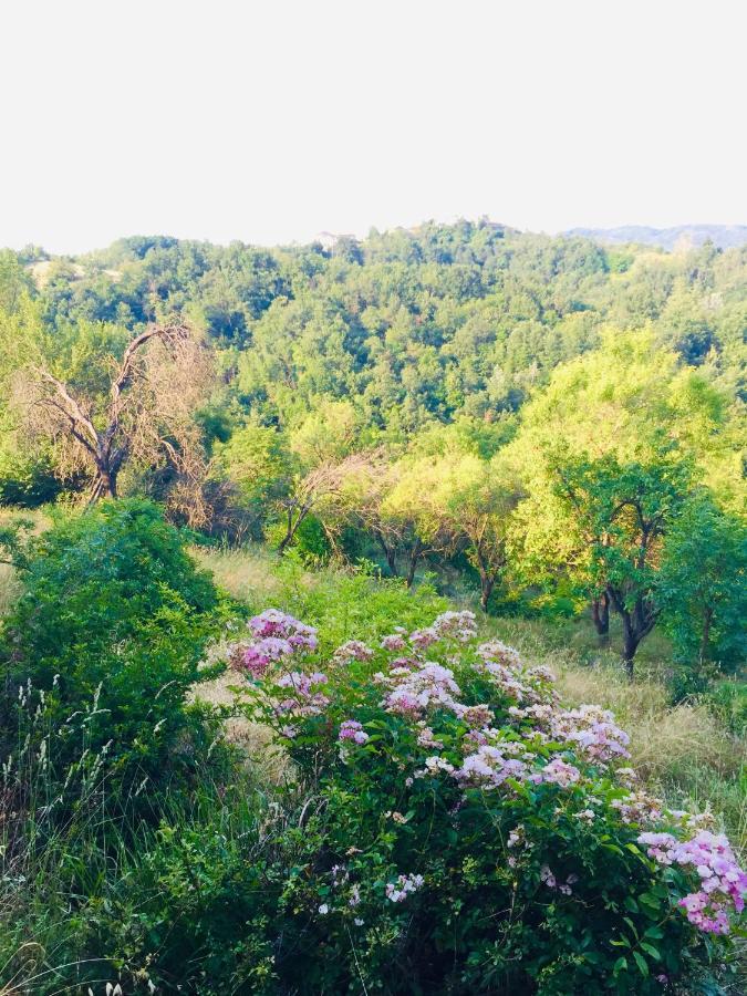 B&B Al Giardino Dei Mandorli Prasco Экстерьер фото