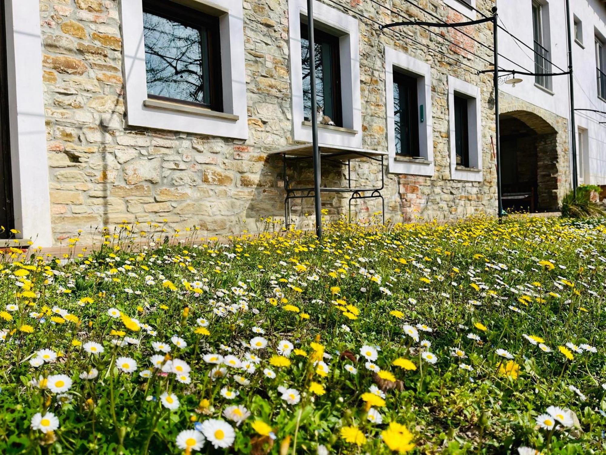 B&B Al Giardino Dei Mandorli Prasco Экстерьер фото
