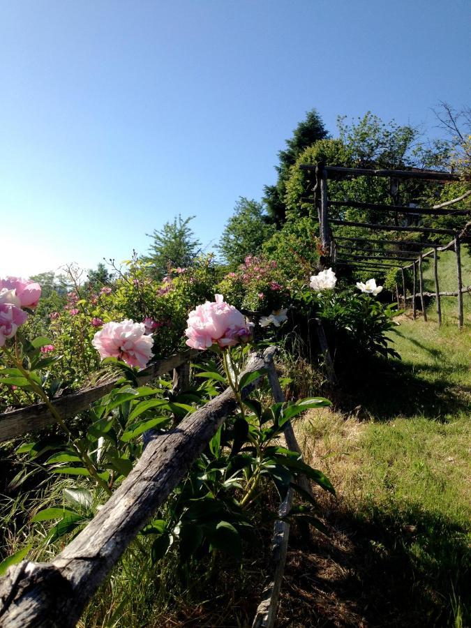 B&B Al Giardino Dei Mandorli Prasco Экстерьер фото